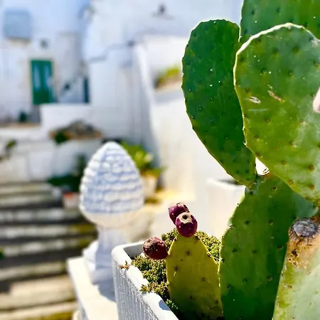 Belle Vasca Vista Mare Casa de Férias