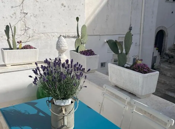 Belle Vasca Vista Mare * 奥斯图尼